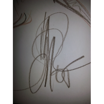 Elixirs tome 1 EO Dédicace crayonnée - Image