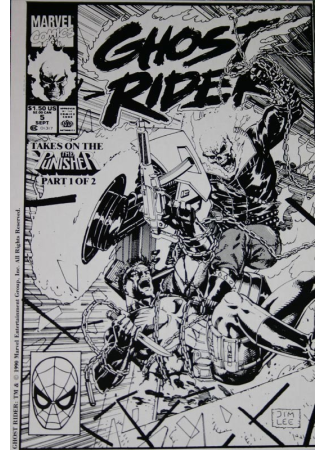 Ghost Rider vs. Punisher - Image