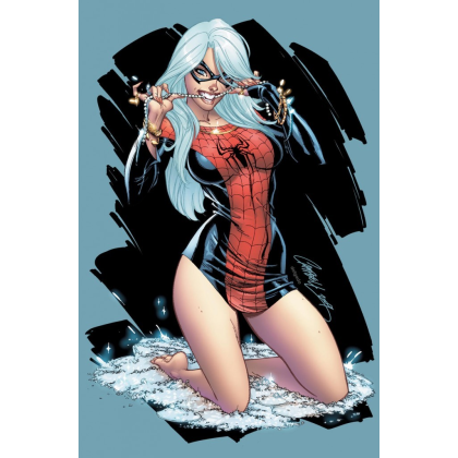 Amazing Spider-man 607 - Sexy Black Cat - Image