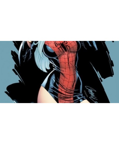 Amazing Spider-man 607 - Sexy Black Cat