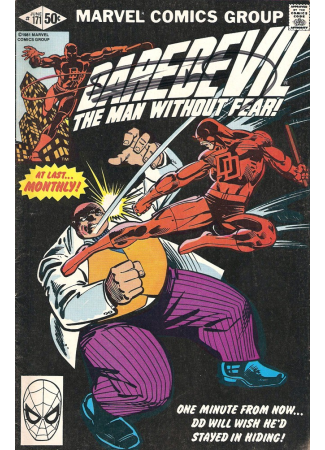 Daredevil - Frank Miller - US - Image