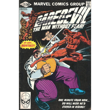 Daredevil - Frank Miller - US - Image